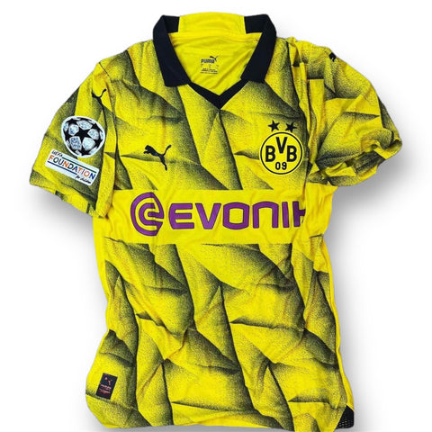 Borussia Dortmund 2024